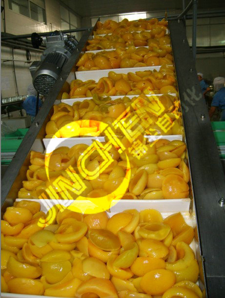 輸送食品網(wǎng)帶輸送機